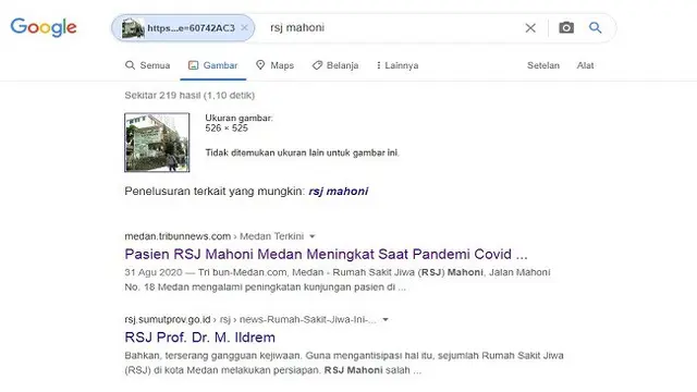 Gambar Tangkapan Layar Penelusuran Foto dengan Google Reverse Image.