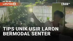 Aksi nyeleneh oleh warganet tidak ada habisnya. Seperti yang baru-baru ini viral cara unik mengusir laron. Seorang pemuda berupaya mengusir laron yang mengganggu tongkrongan hanya bermodal senter.