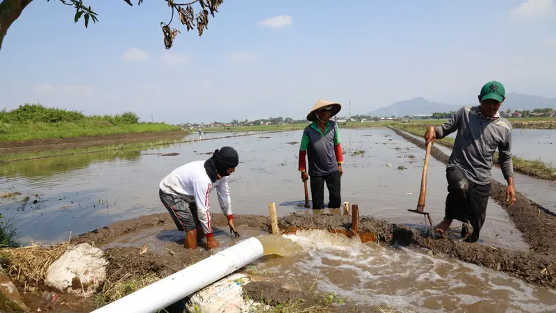 Perhatikan Petani Kecil, Presiden Jokowi Ajak Pemimpin Dunia Perkuat Pasokan Air