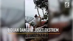 Aksi seorang biduan dangdut berjoget hingga ke atas pohon bikin warganet berkomentar.