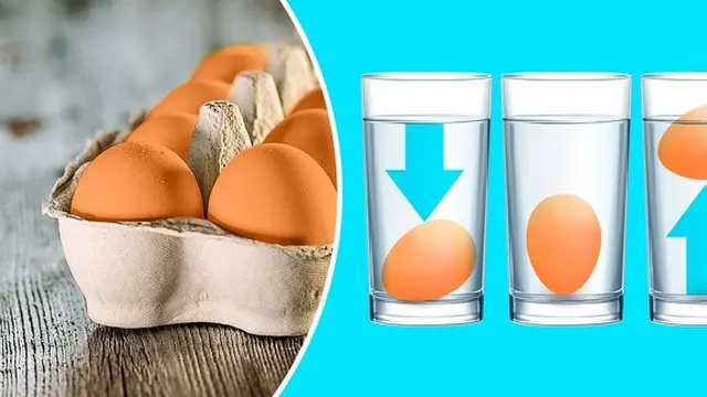 Telur