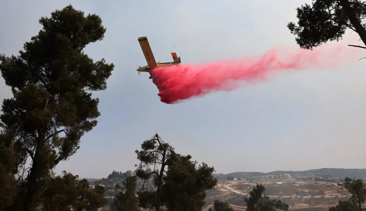 Sebuah pesawat pemadam kebakaran bekerja memadamkan kebakaran hutan yang berkobar di dekat kibbutz Maale Hahamisha di daerah desa Arab-Israel Abu Ghosh dekat Yerusalem, Israel, Rabu (9/6/2021). Puluhan petugas pemadam kebakaran dan 10 tanker udara berjuang memadamkan api. (Menahem KAHANA/AFP)