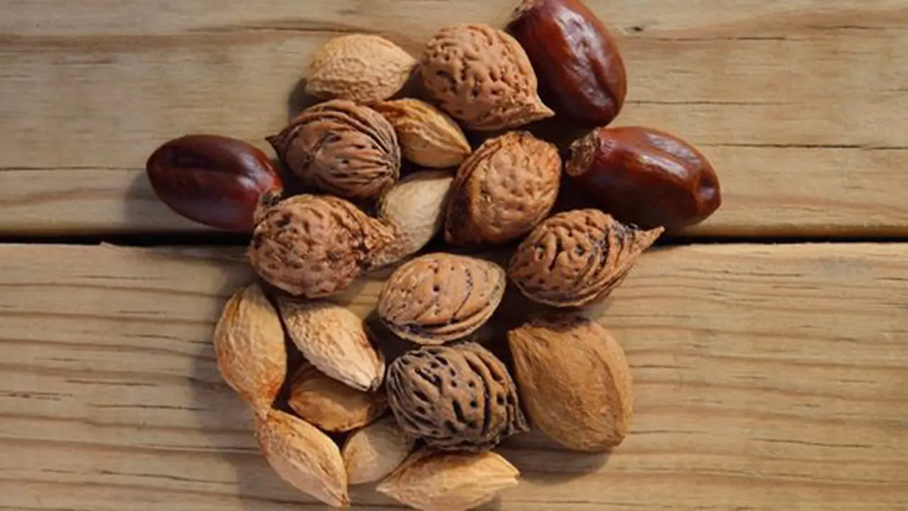 Kacang-kacangan/copyright Pexels.com/Miguel Á. Padriñán