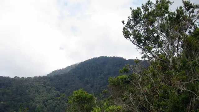 Gunung Pangulubao di Sumatra Utara. (Dok: Gunung Bagging https://www.gunungbagging.com/pangulubao/)