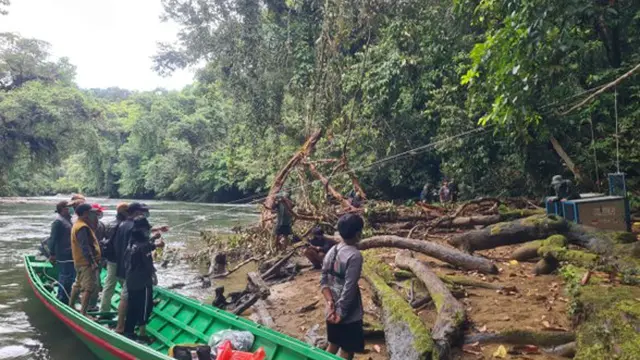 Orang Utan Artemis dan Gieke Pulang ke Hutan Taman Nasional Betung Kerihun, Sempat Sekolah Bertahun-tahun