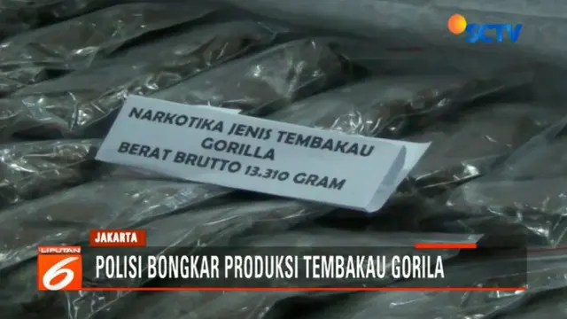 Polisi Bongkar Produksi Tembakau Gorila di Kalibata City