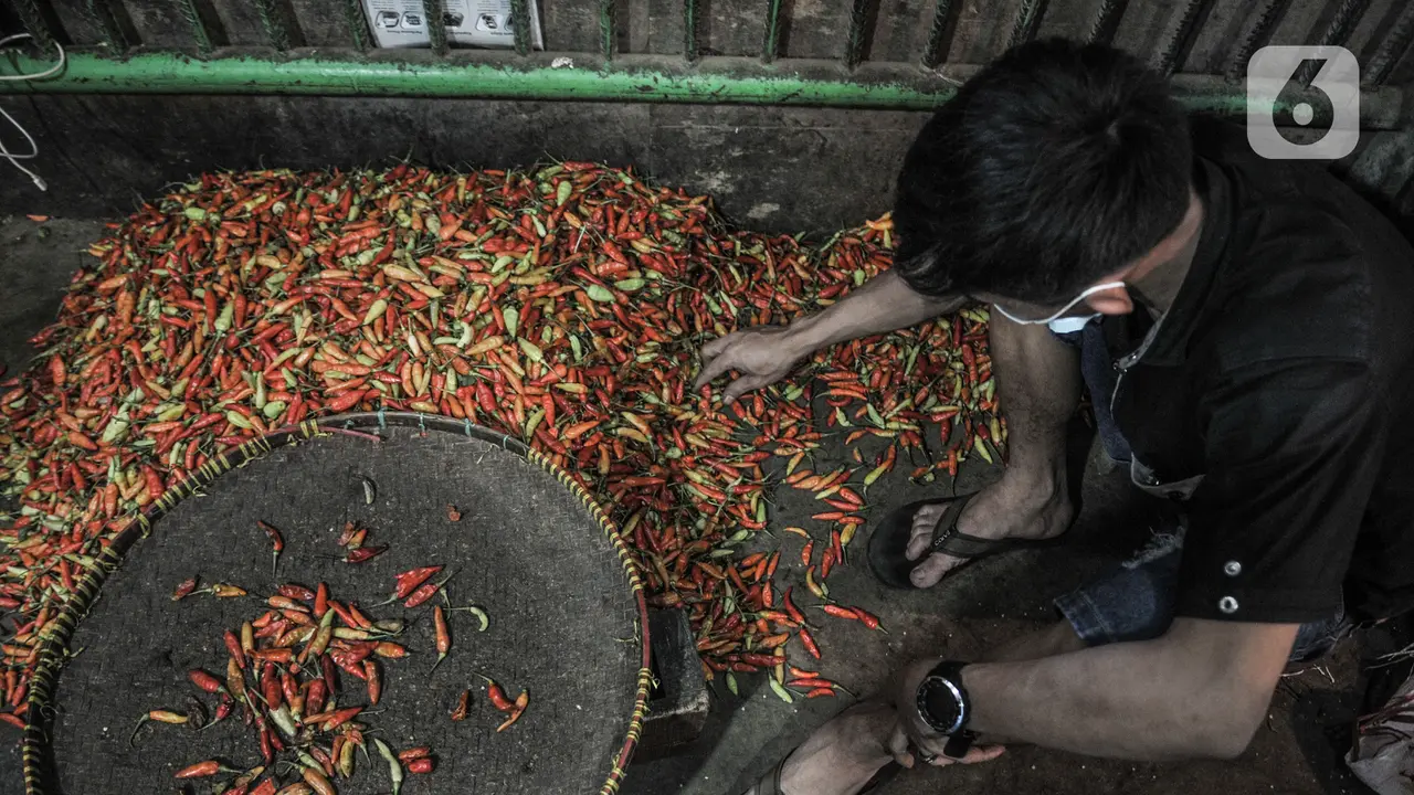 FOTO: Harga Cabai Rawit Merah Tembus Rp 120 Ribu per Kg