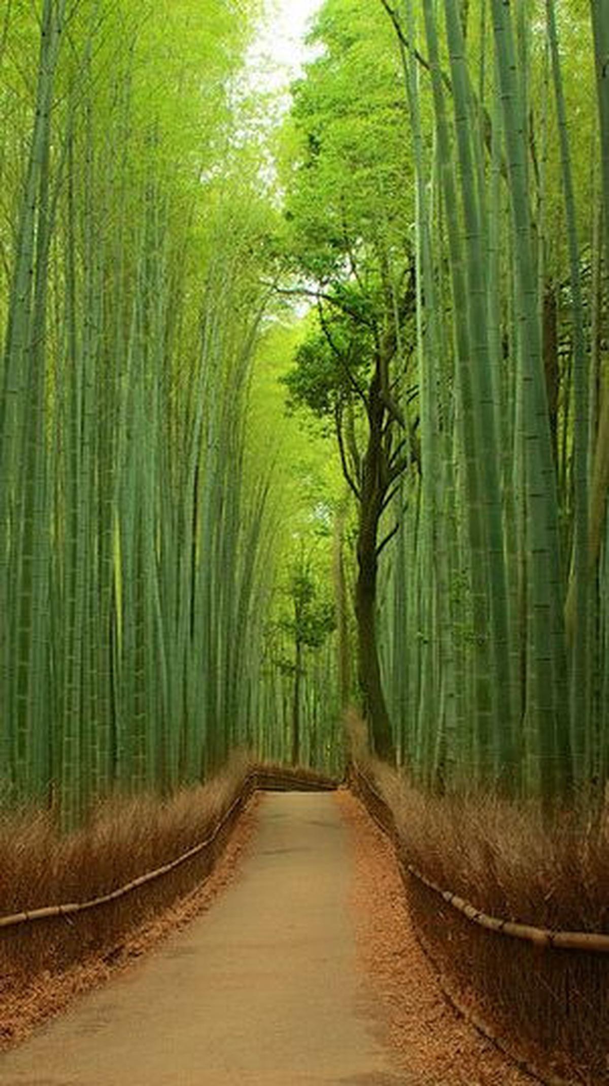 10. Arashiyama<br>