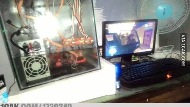 6 Akuarium Low Budget Ini Absurd Banget, Enggak Habis Pikir
