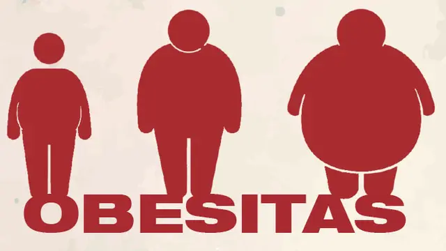 Banner Infografis Obesitas