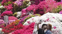 Dalam kepercayaan Shinto, Kuil Nezu Shrine dibangun sekitar 1900 tahun yang lalu, dan dianggap sebagai salah satu kuil tertua di Tokyo. (AP Photo/Eugene Hoshiko)