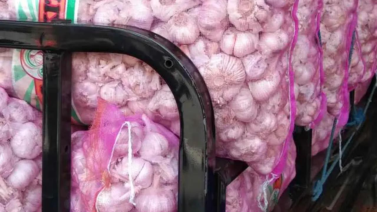 Data BPS Ungkap Indonesia Impor Bawang Putih dari Jerman