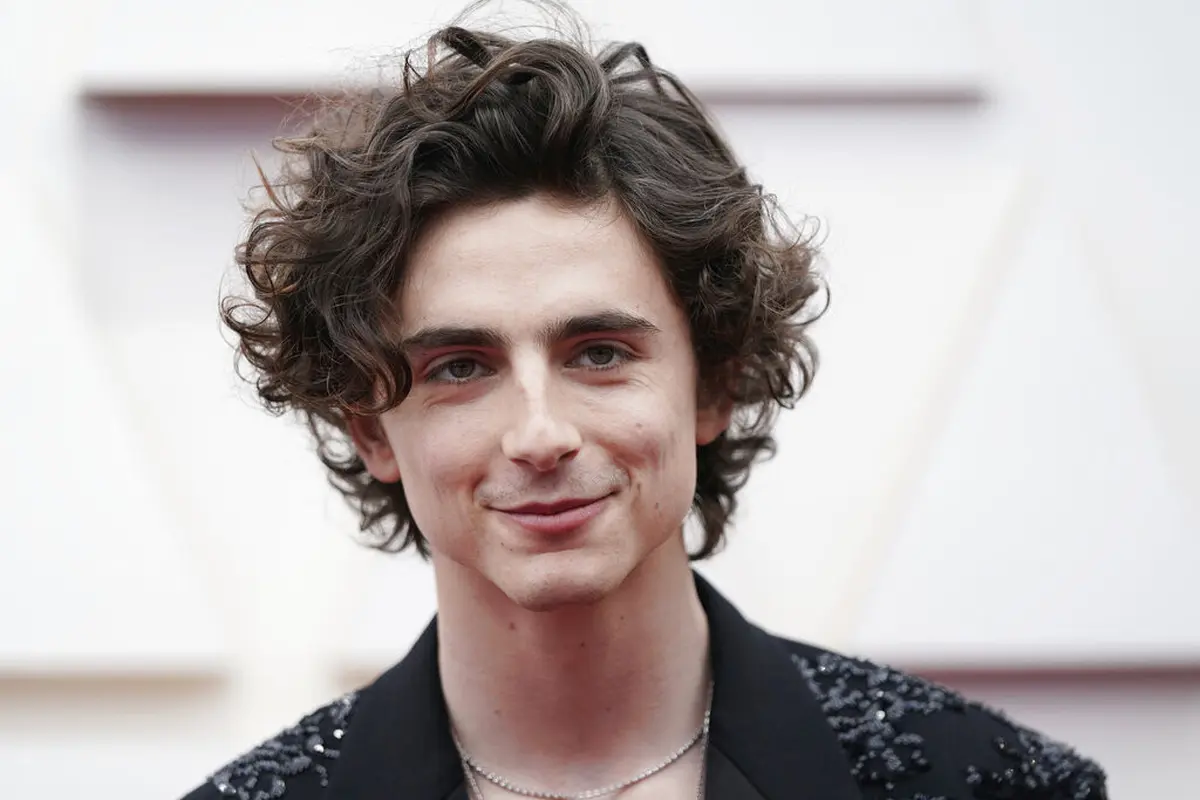 Timothee Chalamet . (Jordan Strauss/Invision/AP)