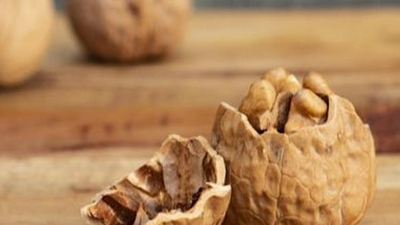 Walnut