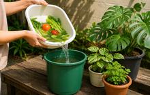 8 Lifehack Rumah yang Cocok Dicoba saat Musim Kemarau agar Hunian Tetap Nyaman dan Hemat Air