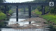 Pemandangan aliran Kanal Banjir Timur (KBT) yang mengering di sepanjang Rawa Bebek, Jakarta, Senin (21/8/2023). Musim kemarau yang terjadi dalam satu bulan ini menyebabkan debit air Kanal Banjir Timur berkurang sehingga memperlihatkan dasar sungai. (merdeka.com/Imam Buhori)