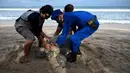 Anggota Ditpolairud Polda Bali (kanan) melepasliarkan penyu hijau (Chelonia mydas) di Pantai Kuta, dekat Denpasar, Rabu (5/8/2020). Sebanyak 25 dari 36 ekor penyu hijau hasil sitaan dari upaya penyelundupan di perairan Serangan, Denpasar, dilepasliarkan. (SONNY TUMBELAKA/AFP)