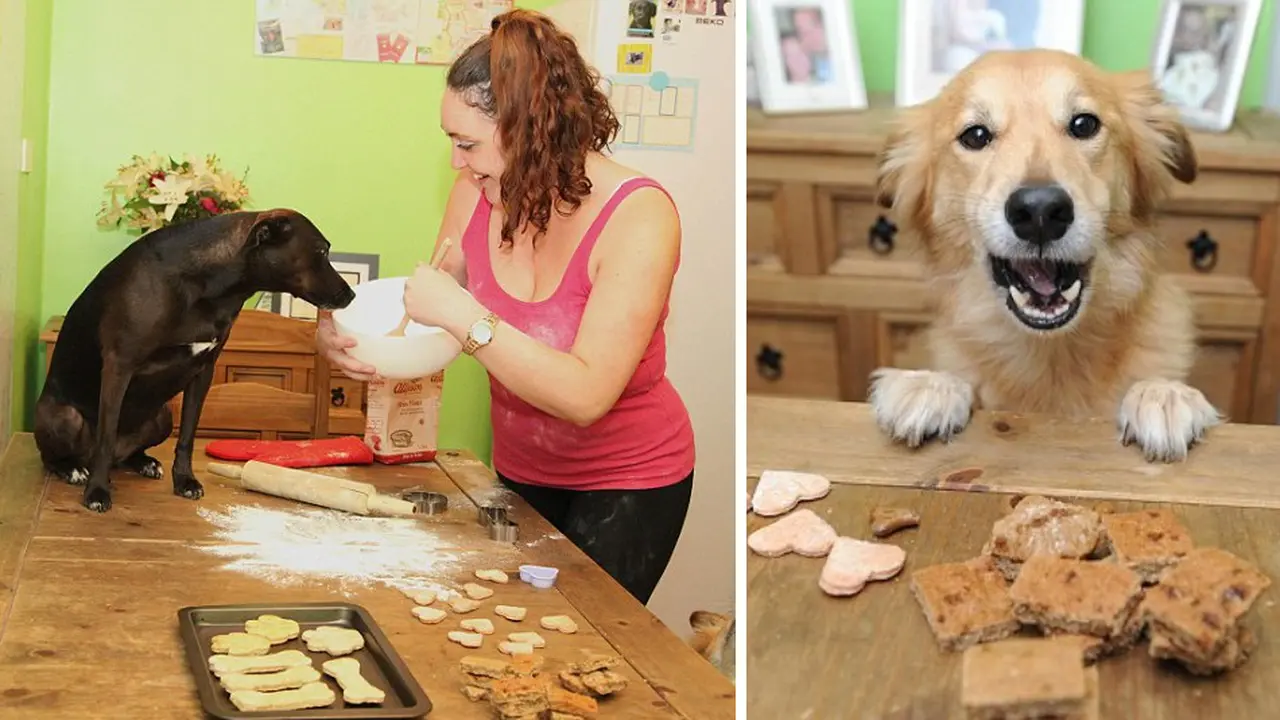 Dog Bakery 0914