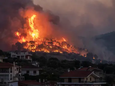 Api membakar di dekat desa Galataki ketika pihak berwenang mengevakuasi tempat di dekat Korintus, Yunani, Rabu, (22/7/2020). Lebih dari 250 petugas pemadam kebakaran, yang didukung oleh pesawat yang jatuh air, berjuang memadamkan kebakaran tersebut. (AP Photo/Petros Giannakouris)