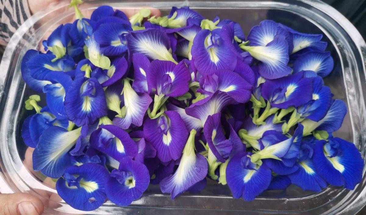 <b>Resep Es Telang Cengkeh Kayu Manis</b><br>