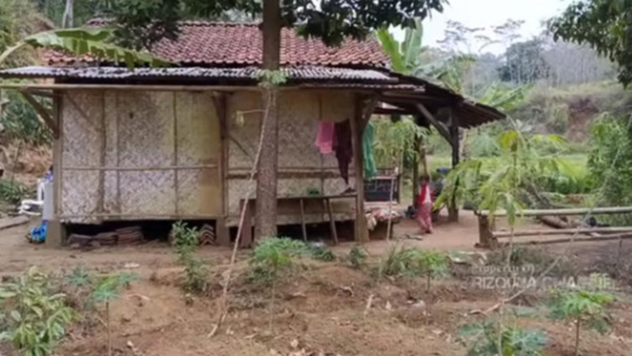 rumah sutradara di hutan