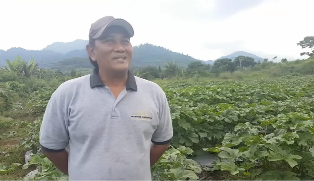 <p>Ken Ken Wiro Sableng (Youtube/BPPSDMP KEMENTAN RI)</p>