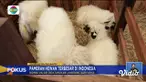 Perbarui informasi Anda bersama Fokus edisi (08/09) dengan topik-topik pilihan di antaranya, Kemarau Berkepanjangan, Air Sulit Didapat, Indonesia International Pet Expo 2024, Bermalam di Tenda Pinggir Danau, Kapal Rombongan Pernikahan Terbalik di Lau...