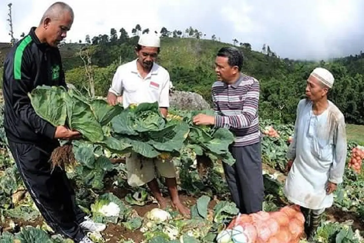 Cagub Sulsel, Nurdin Abdullah sedang meninjau hasil panen warga di Kabupaten Bantaeng (Liputan6.com/ Eka Hakim)