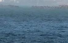 Jepang Buang Limbah Nuklir ke Laut, Warga Korsel Takut Konsumsi Ikan