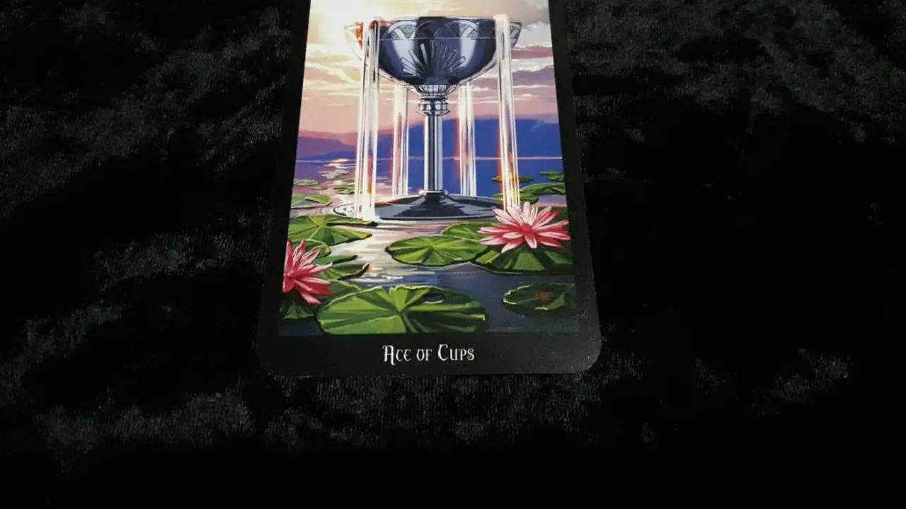 Tarot Cinta