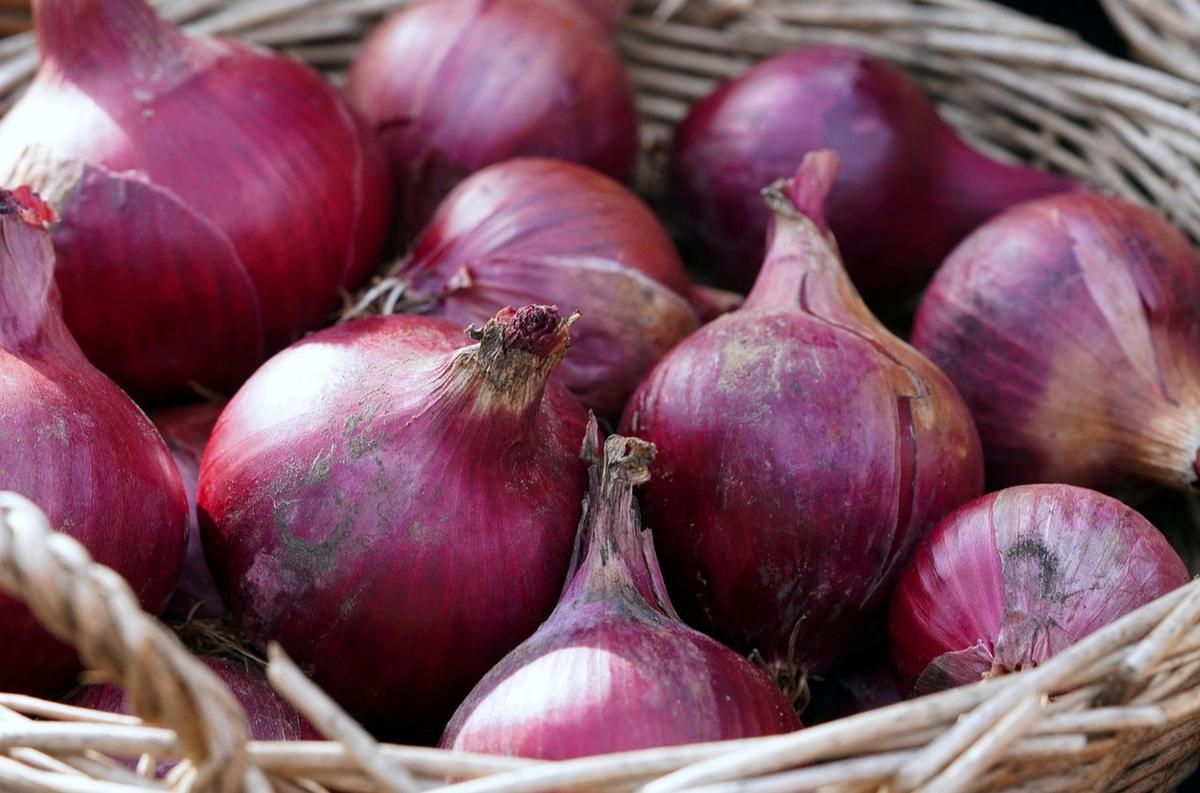 Ilustrasi Bawang Merah (©Pixabay)