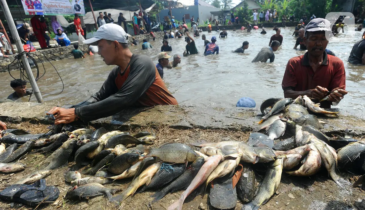 Tanggal 20 Mei menjadi puncak acara Lebaran Depok Jilid 5 dengan acara arak-arakan dari setiap kecamatan, Perangkat Daerah (PD), dan warga masyarakat. (merdeka.com/Arie Basuki)