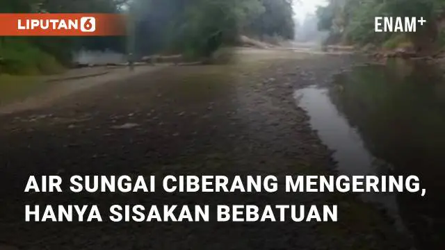Beredar video viral terkait mengeringnya air di sungai Ciberang. Sungai tersebut mengering hingga hanya menyisakan bebatuan sungai saja