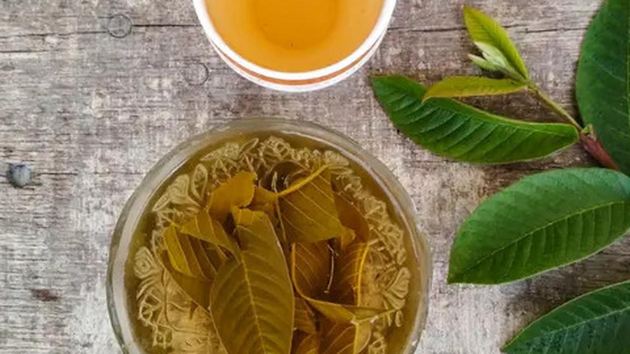 Seduhan Daun yang Ampuh Turunkan Kolesterol, Resep Mudah dari Daun Salam hingga Jambu Biji