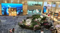 Terbang dari Singapura Bakal Dikutip Retribusi Mulai Oktober 2026, Uangnya untuk Bahan Bakar Berkelanjutan