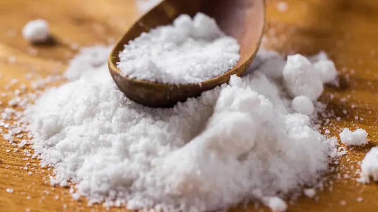 Cara Mematikan Ikan Lele Tanpa Dipukul, Coba Trik Mudah Ini dengan Garam