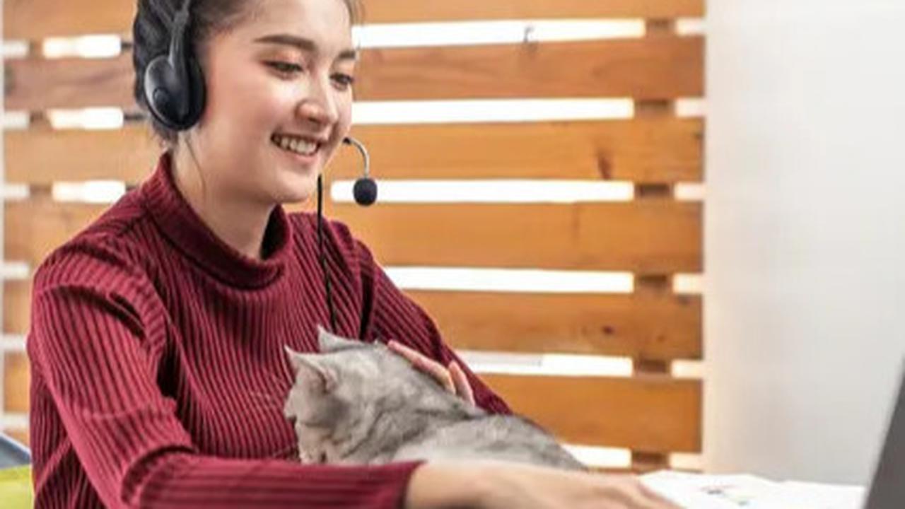 Viral Mesin Penjual Otomatis Jual Hewan Peliharaan Hidup, Tuai Kontroversi