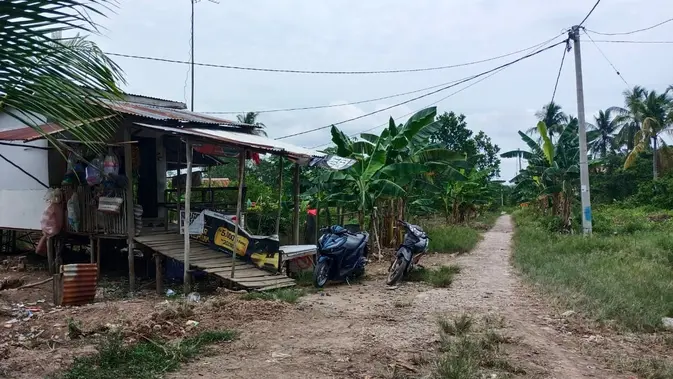 <p>Pemukiman rumah warga Dusun Saluran Banyuasin Sumsel yang jarak antar-rumah cukup berjauhan, namun kini semua sudah teraliri listrik (Liputan6.com / Nefri Inge)</p>