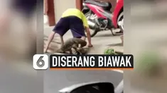 BIAWAK LIAR BERKELIARAN HINGGA MENYERANG WARGA DI THAILAND