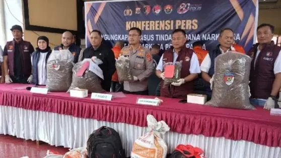 38 Kilogram Ganja dan 169 Pohon Disita di Papua