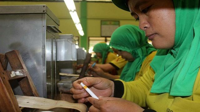 Sejumlah wanita sedang bekerja di pabrik rokok di Mojokerto. (Liputan6.com/Dian Kurniawan)
