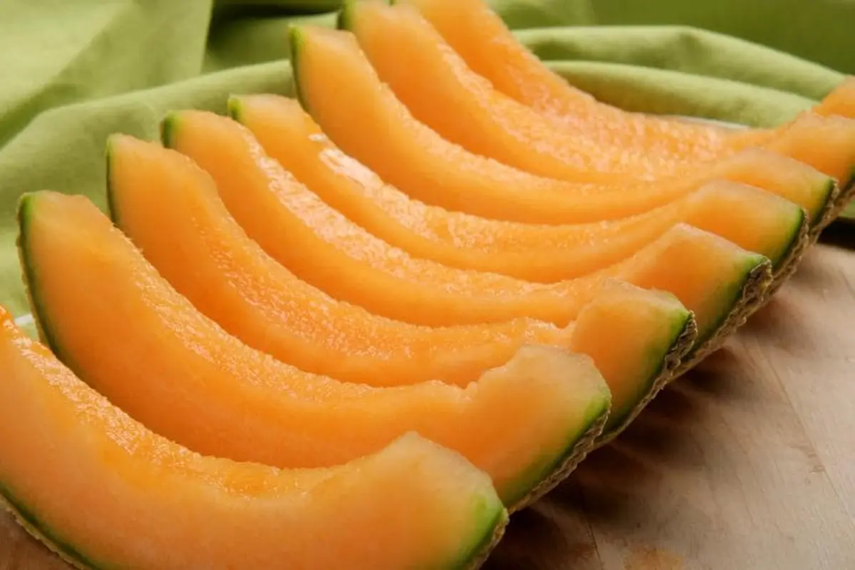 [Bintang] Rock melon
