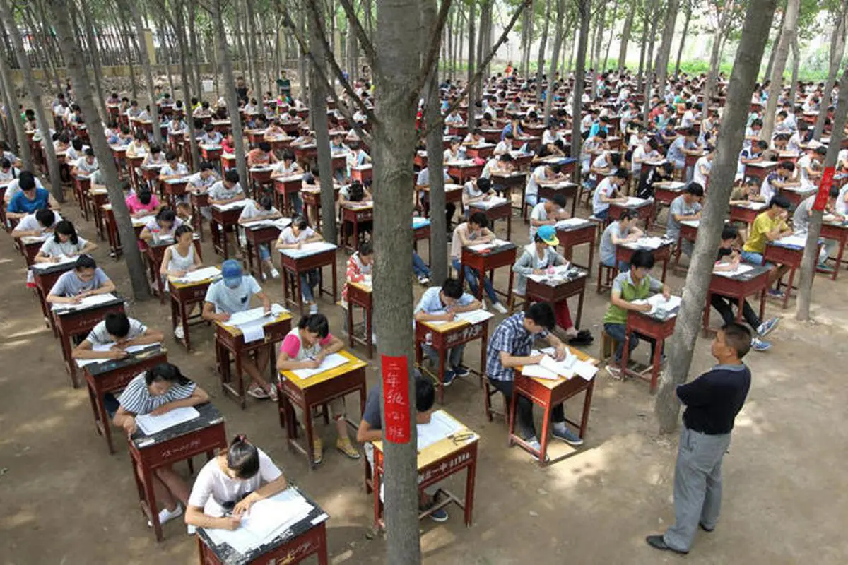 Cegah Mencontek, Sekolah China Gelar Ujian di Hutan