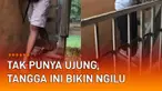 Sebuah tangga unik dan mengerikan karena tidak mempunyai ujung mengundang perhatian.