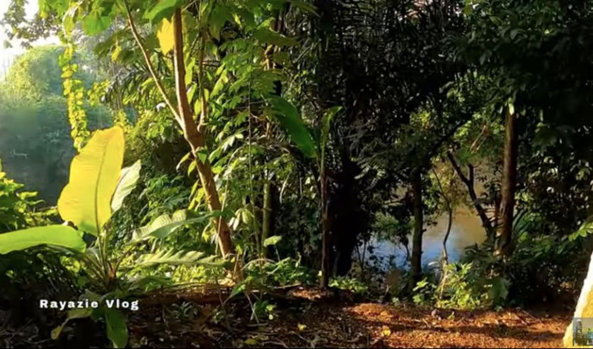 Menurut penjelasan yang dipaparkan sang perekam video, kampung pemukiman Condet Balekambang ini terletak tepat di samping Kali Ciliwung. <br>