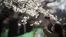 Pengunjung perempuan yang mengenakan masker mengambil foto bunga sakura musiman di Taman Ueno, Tokyo, Jepang pada 24 Maret 2022. Taman Ueno merupakan salah satu tempat menikmati mekar Bunga Sakura paling populer di Tokyo. (AP Photo/Eugene Hoshiko)