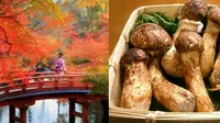 Mencicipi Kelezatan 4 Kuliner Khas Musim Gugur di Jepang