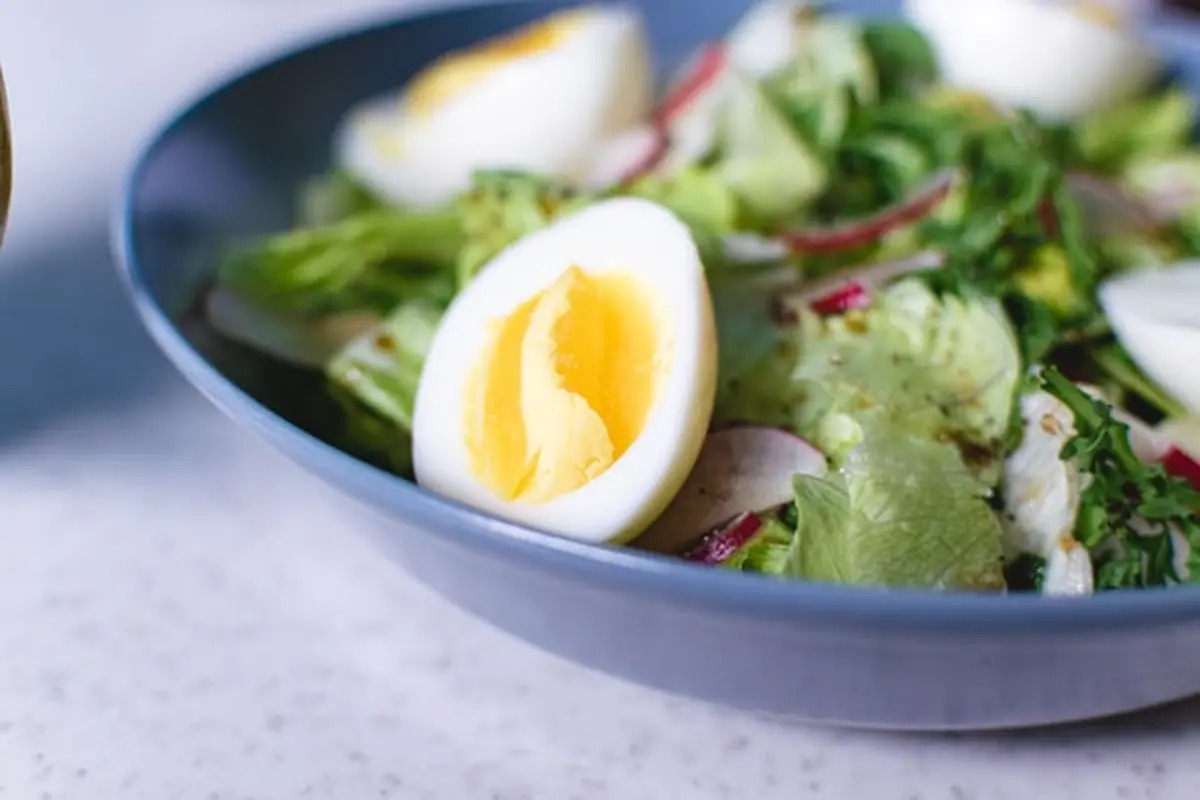 Ilustrasi Salad Telur