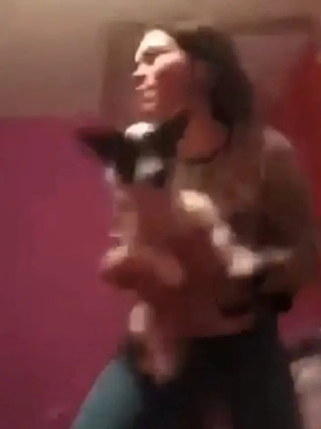 video wanita lempar anjing ke dinding (metro.co.uk)