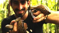 Demi acara TV, Paul Rosolie rela ditelan hidup-hidup  oleh seekor ular Anaconda raksasa.